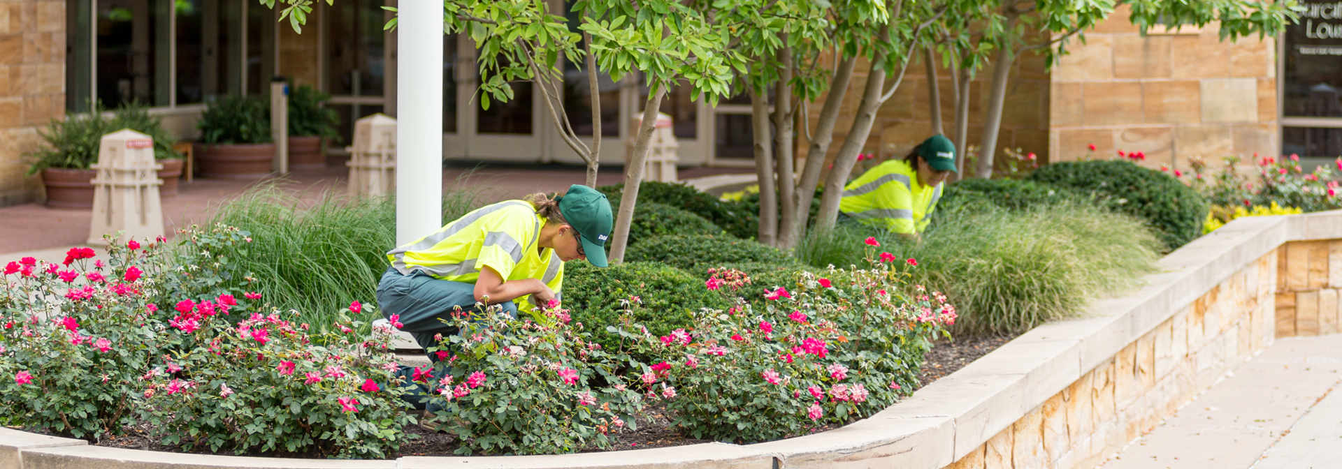 Hospitality Landscaping Services
