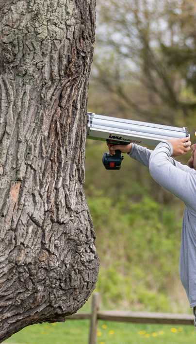 Tree Risk Assessment | Davey Tree