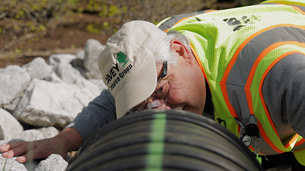 Commercial Case Study Cuyahog Library Sideimage2 608X341