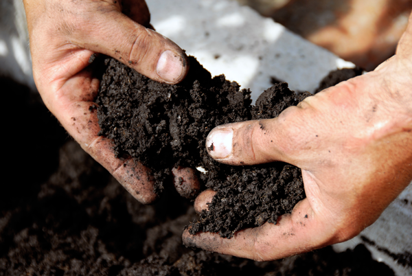 Garden Soil Stock