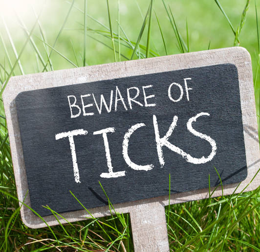 Beware Of Ticks