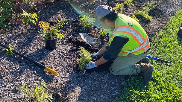 Project Profile Green Infrastructure Installation Sideimage2 608X341