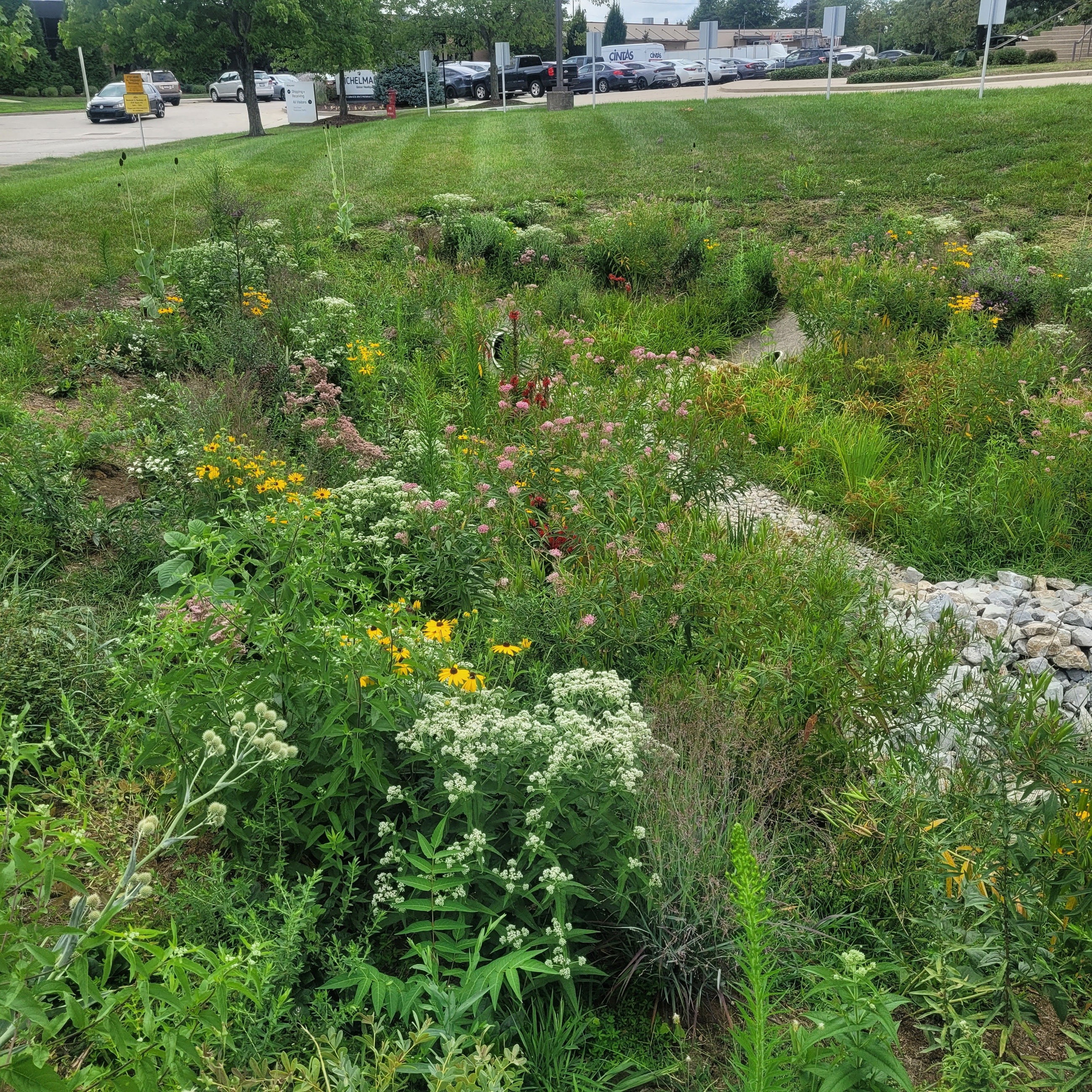 Post Installation Establishment