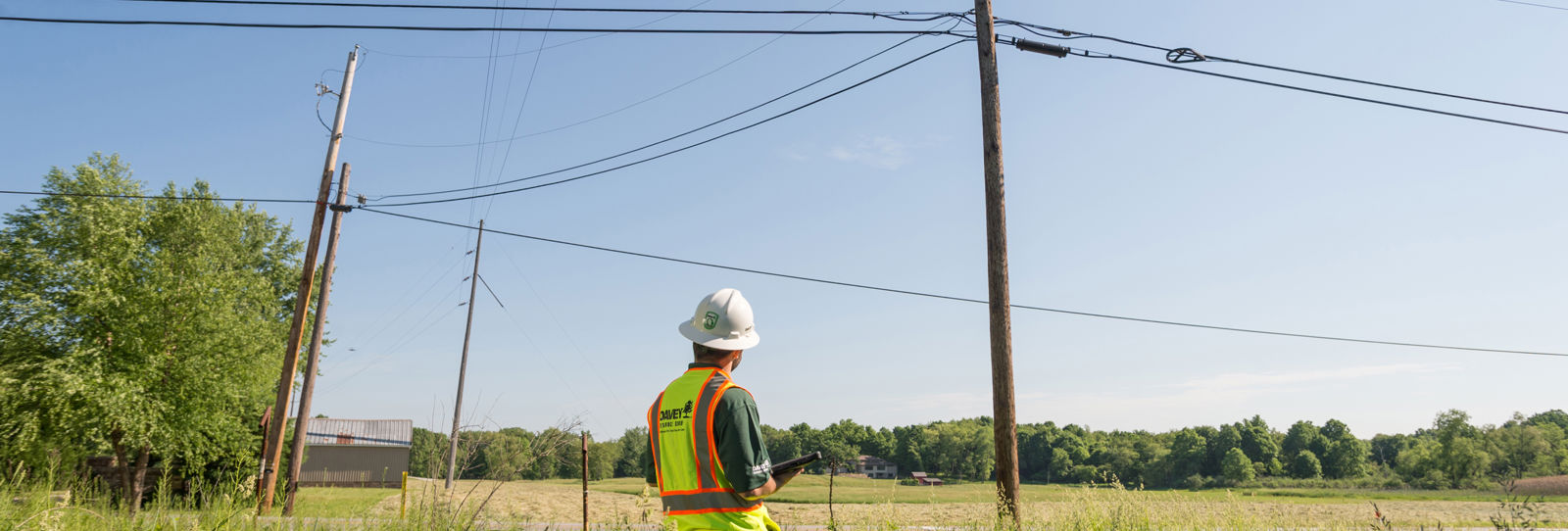 Utility Field Ground Utility Field Services & Inspection | Davey Tree