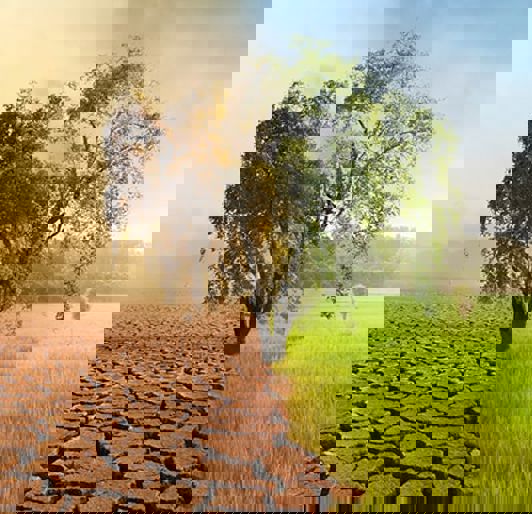 Climate Change Fact Sheets