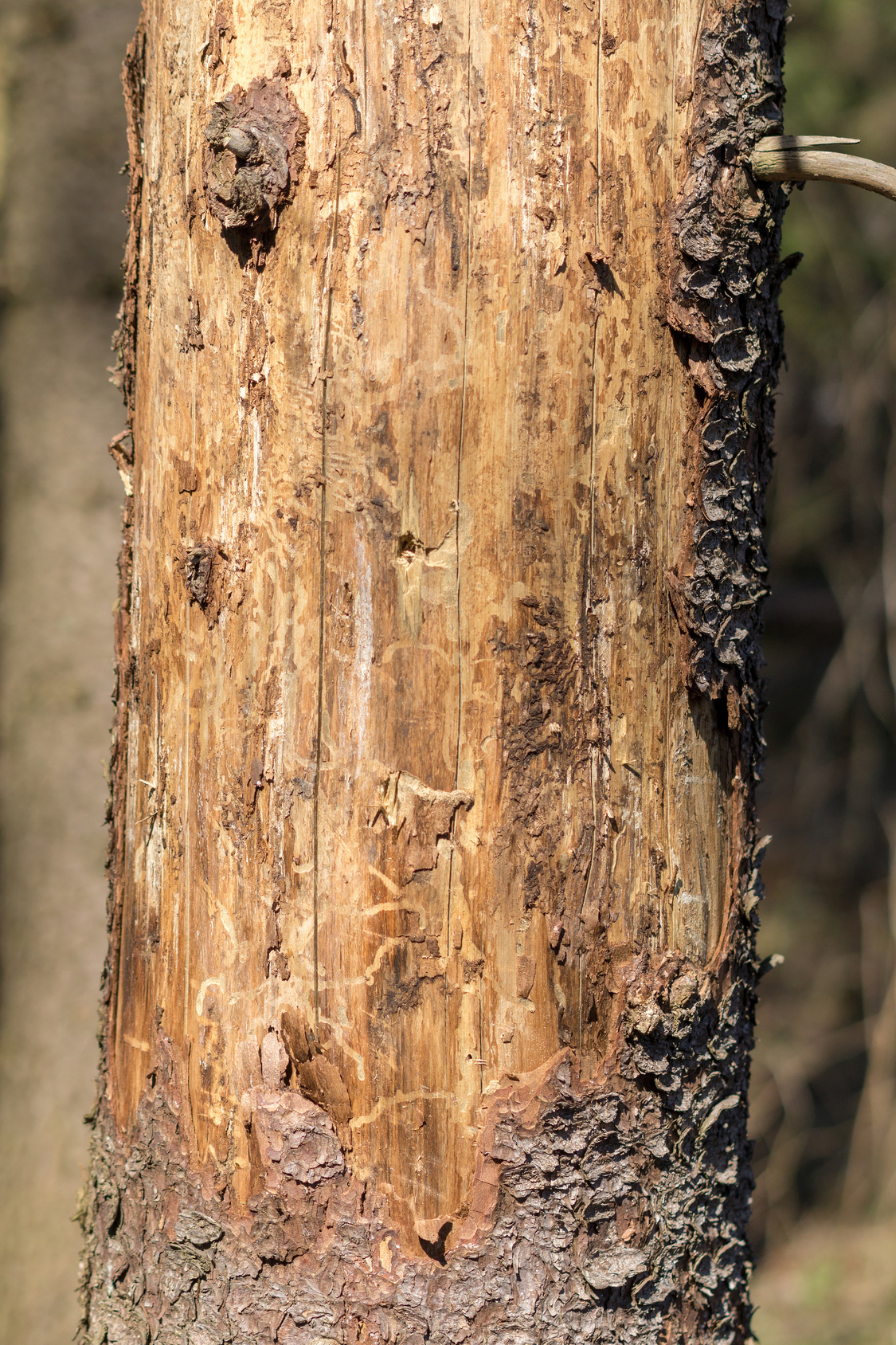 Fotolia 201834215 IPS M