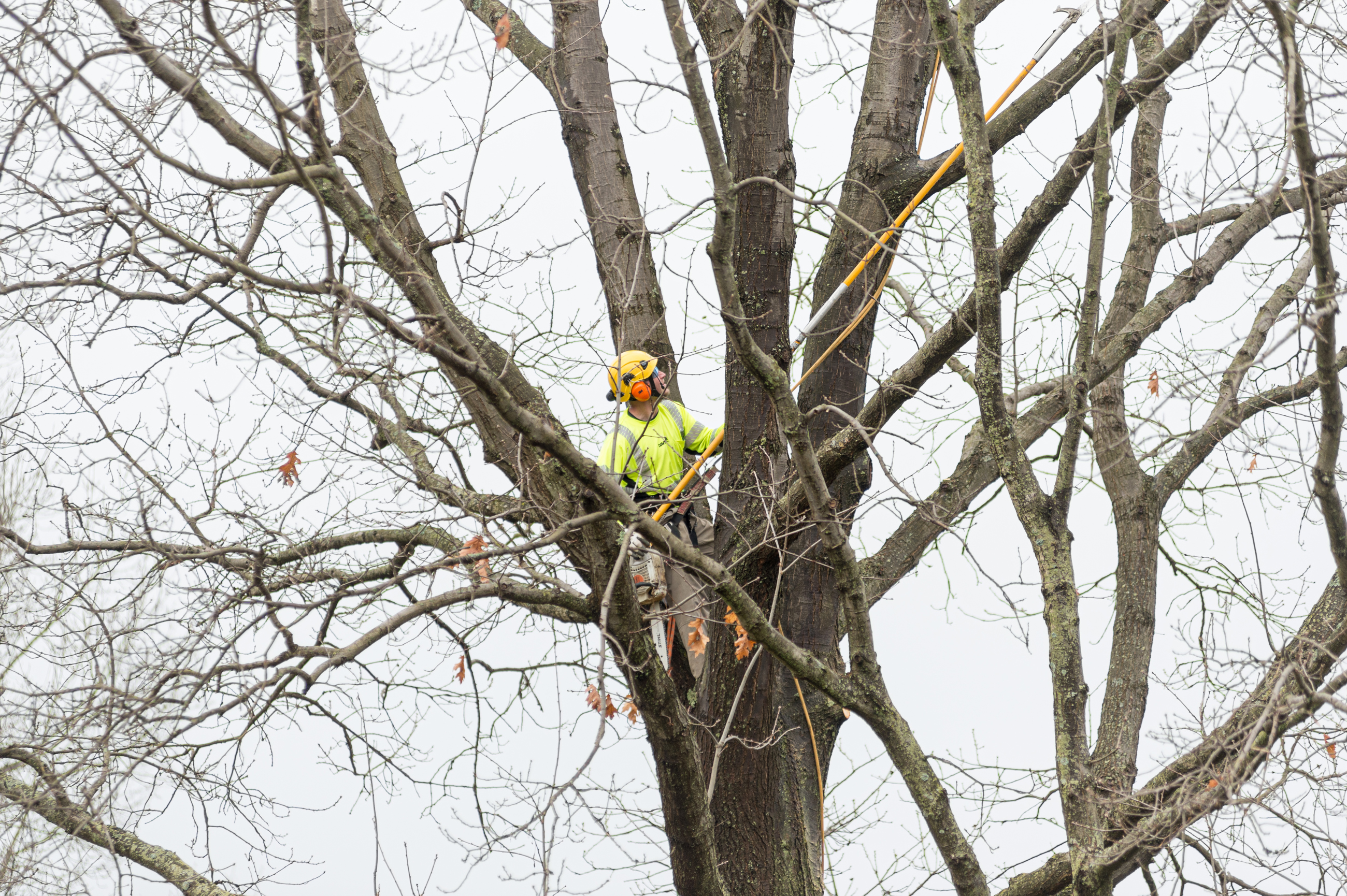 Stillwater Tree Service