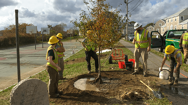 Environmental Project Profiles Quincy Ma Sideimage 608X341