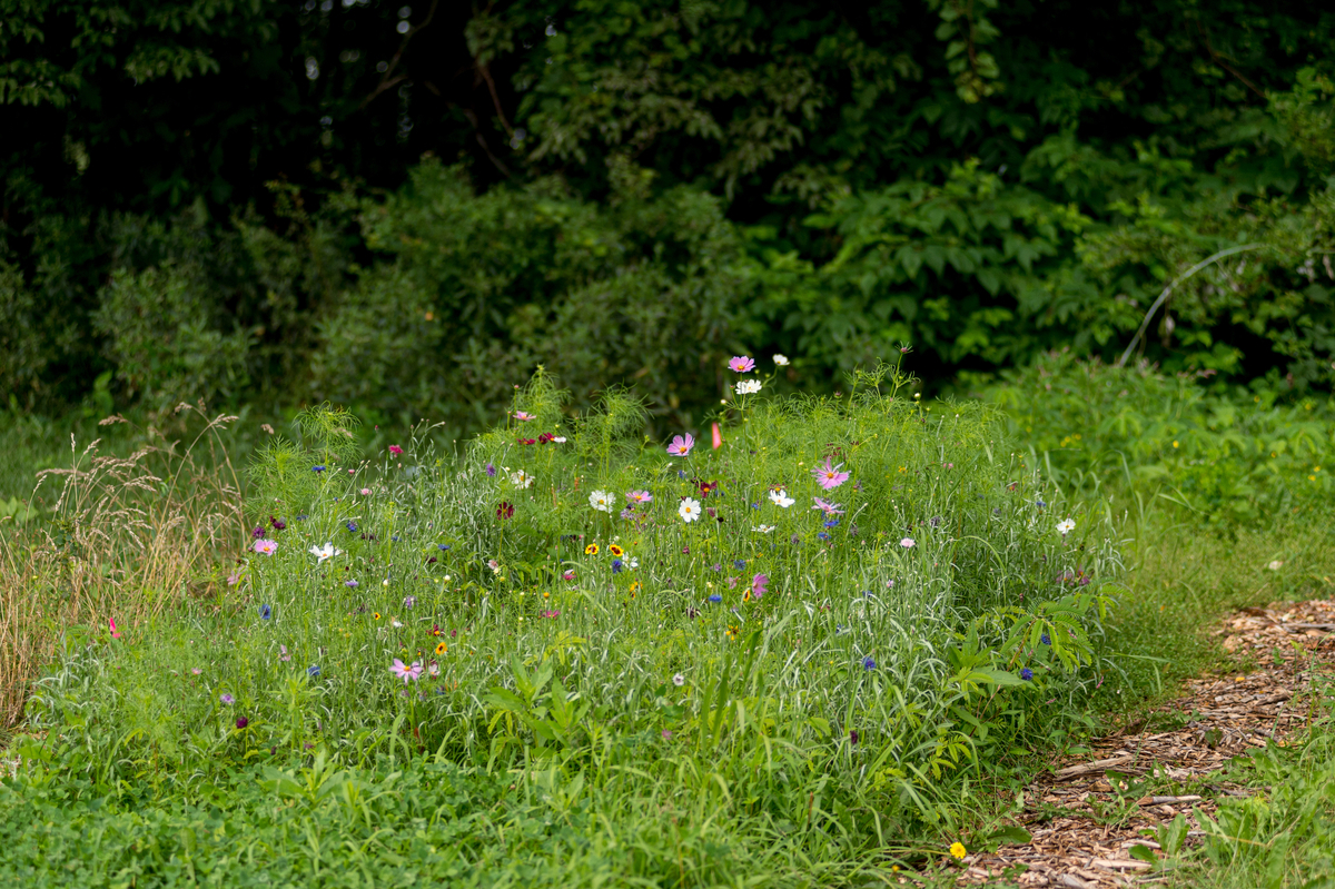 DSC 4761 1201X799 779F864