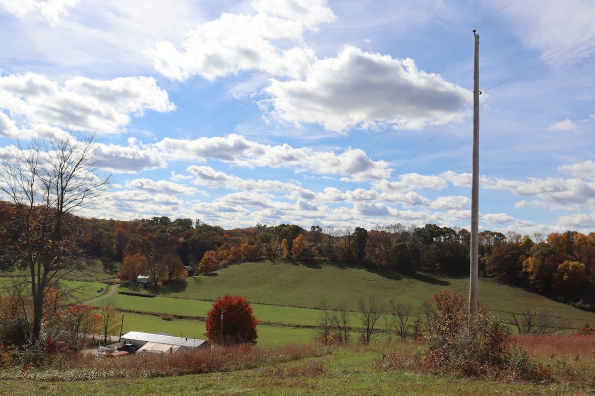 Utility Cooperatives Davey Tree