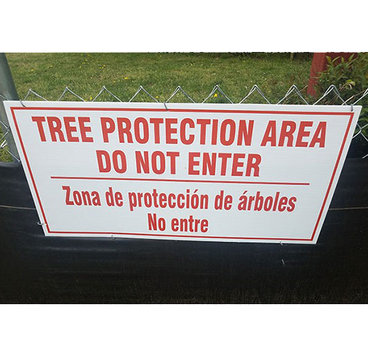 What Is A Tree Protection Zone