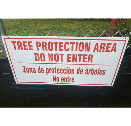 Tree Preservation & Protection | Davey Resource Group | Davey Tree