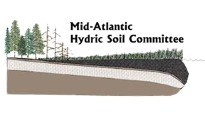 Mid Atlantic States Hydric Soil Technical Committee