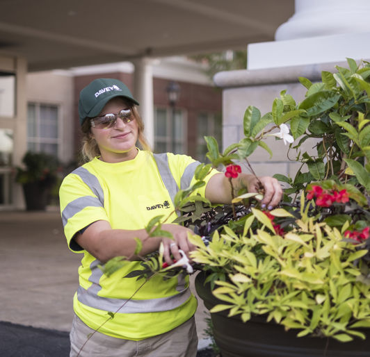 Hospitality Landscaping Services