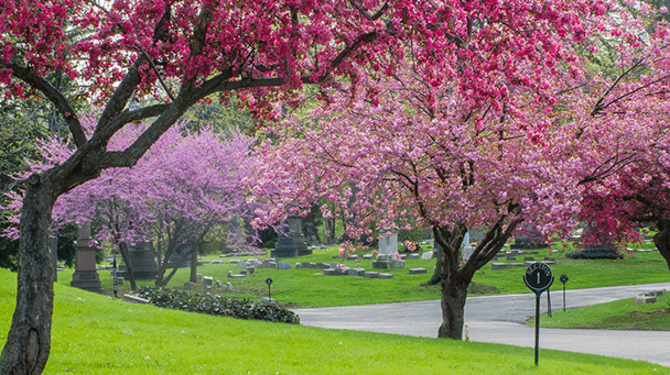 Commercial Case Study Lakeview Oh Sideimage3 608X341