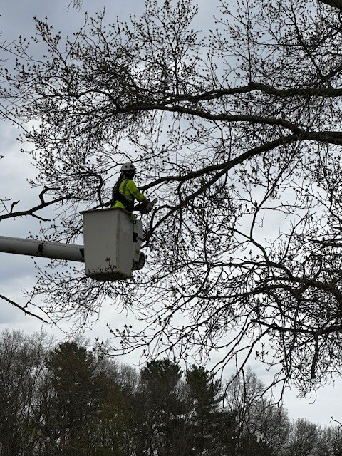 Vassey Park Volunteer Day BNS Office