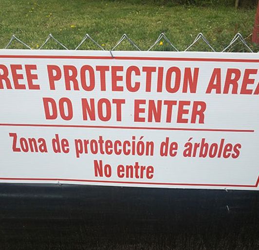 Treee Protection Flagging Tree Preservation & Protection | Davey Resource Group | Davey Tree