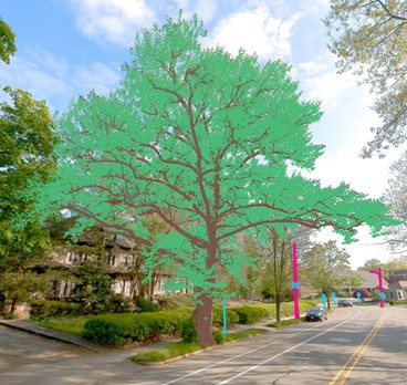 UF Planning Newsletter Image 1