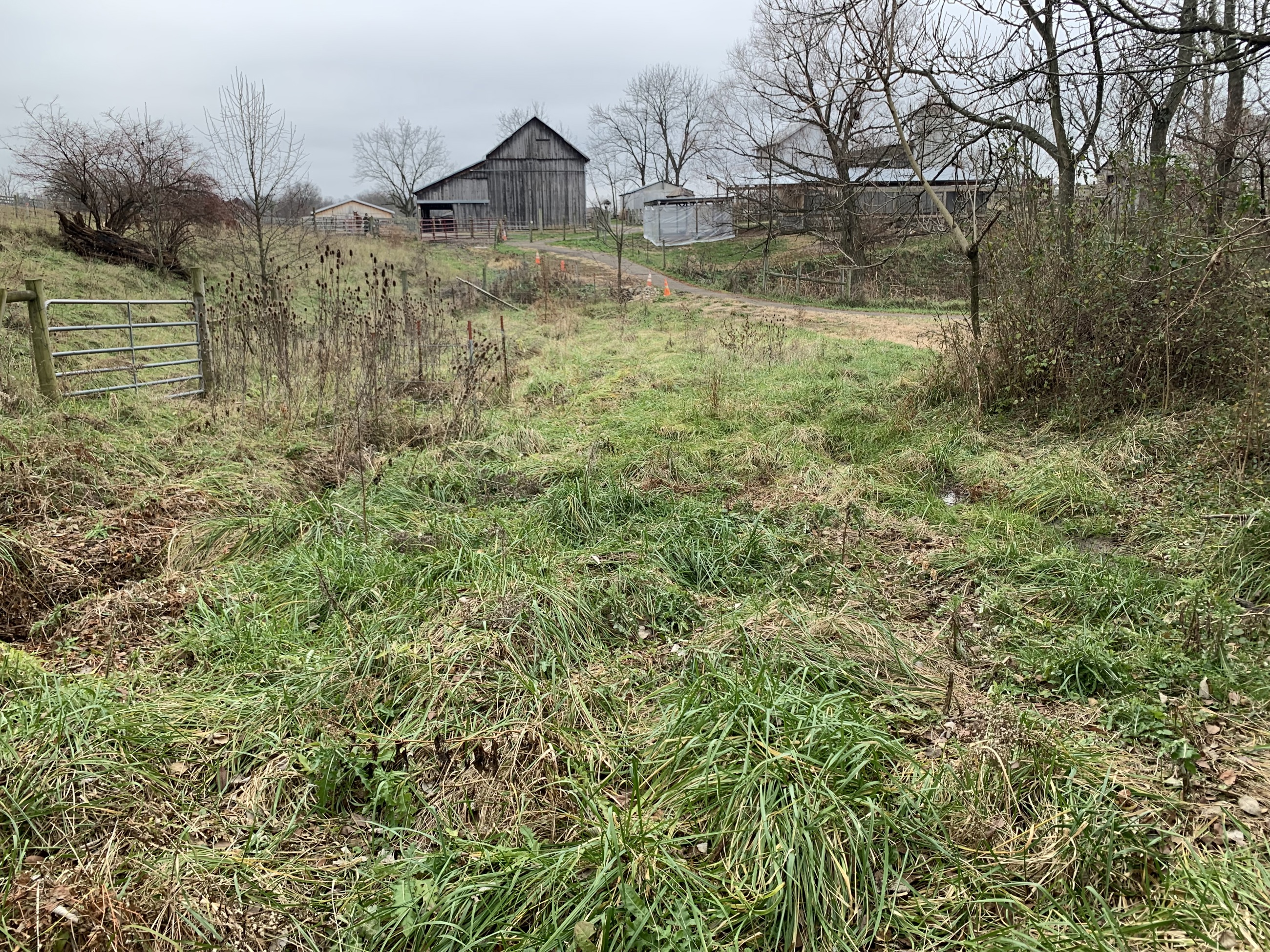 Pre Construction IMG 5317