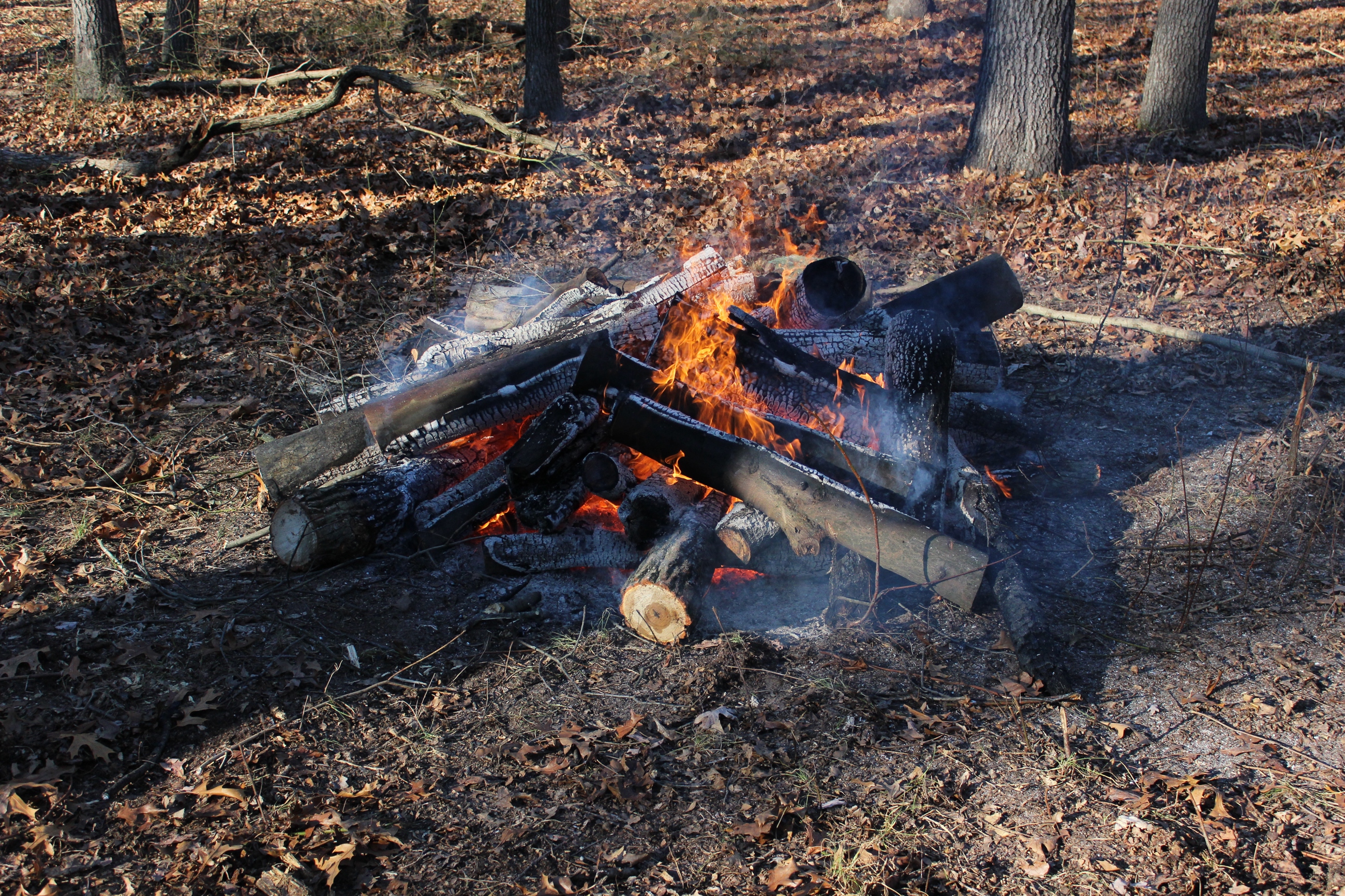 Copy Of Brush Pile Burn