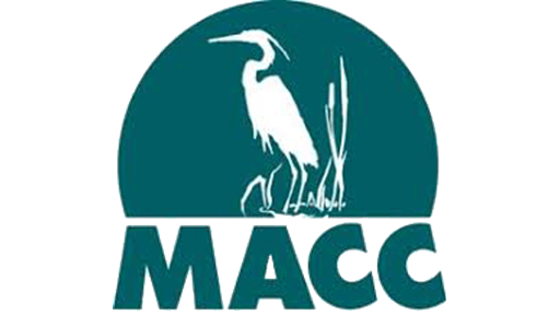 Macc