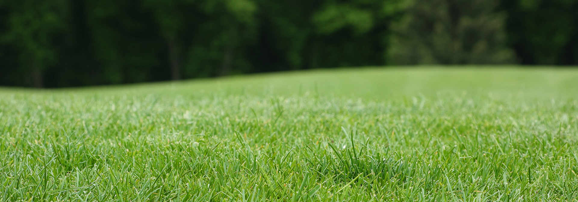 lawn care in salt lake county