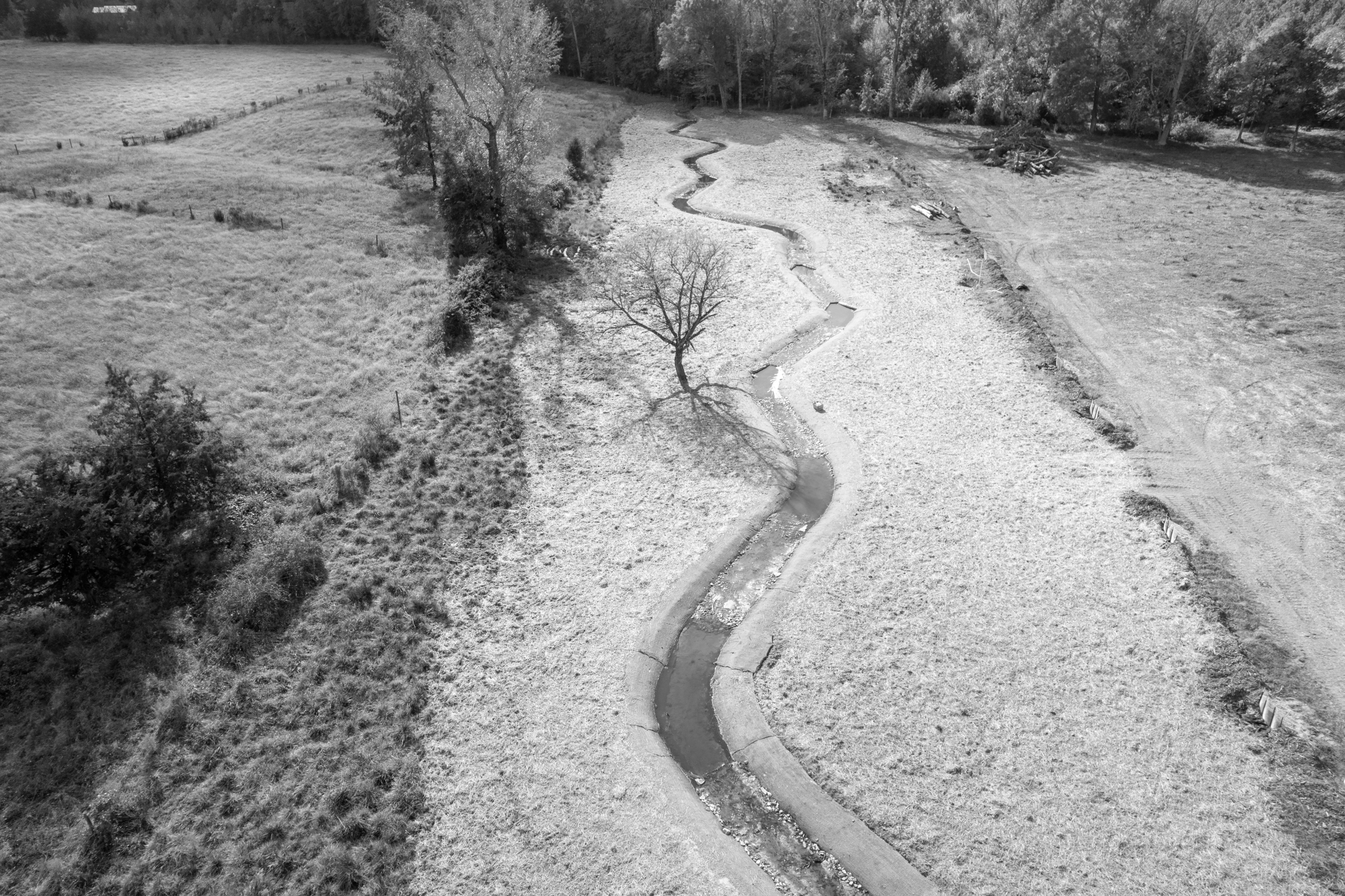 Field Path