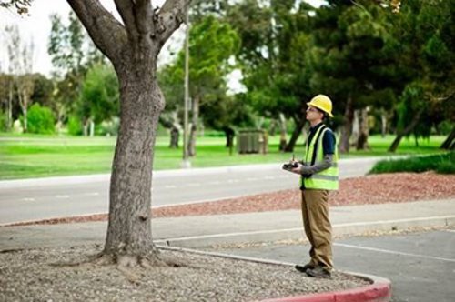 Davey Resource Group contract arborist