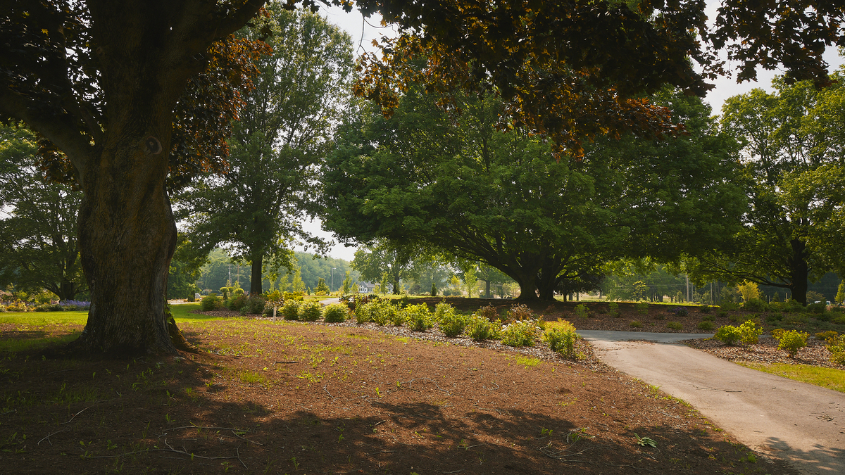 DI 5305 1200X675 128554E