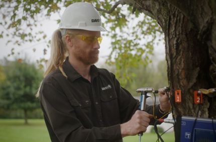 Sonic Tomography Risk Assessment
