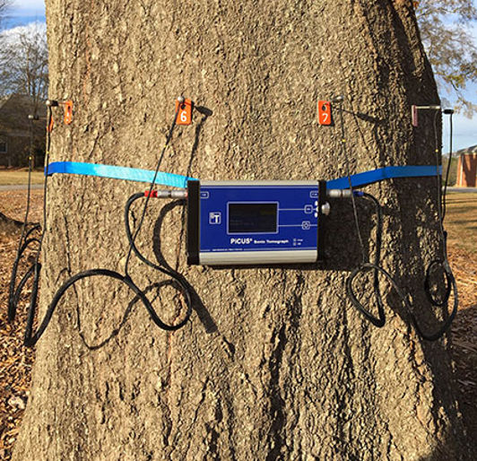 Tree Risk Assessment Unit