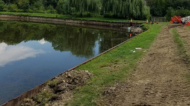 Environmental Project Profile Emerald Sideimage3 608X341jpg