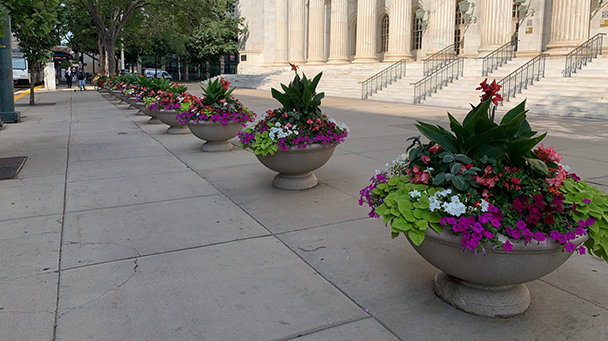 Commercial Blog How To Improve Your Business Curb Appeal With Landscape Enhancements Sideimage2 608X341