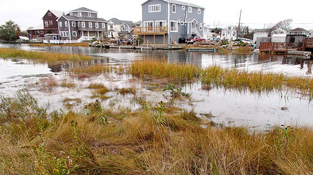 Project Profile Queens Ny Sw Eder 0722 Sideimage2 608X341