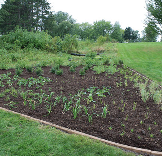 Drg Green Stormwater Infrastructure