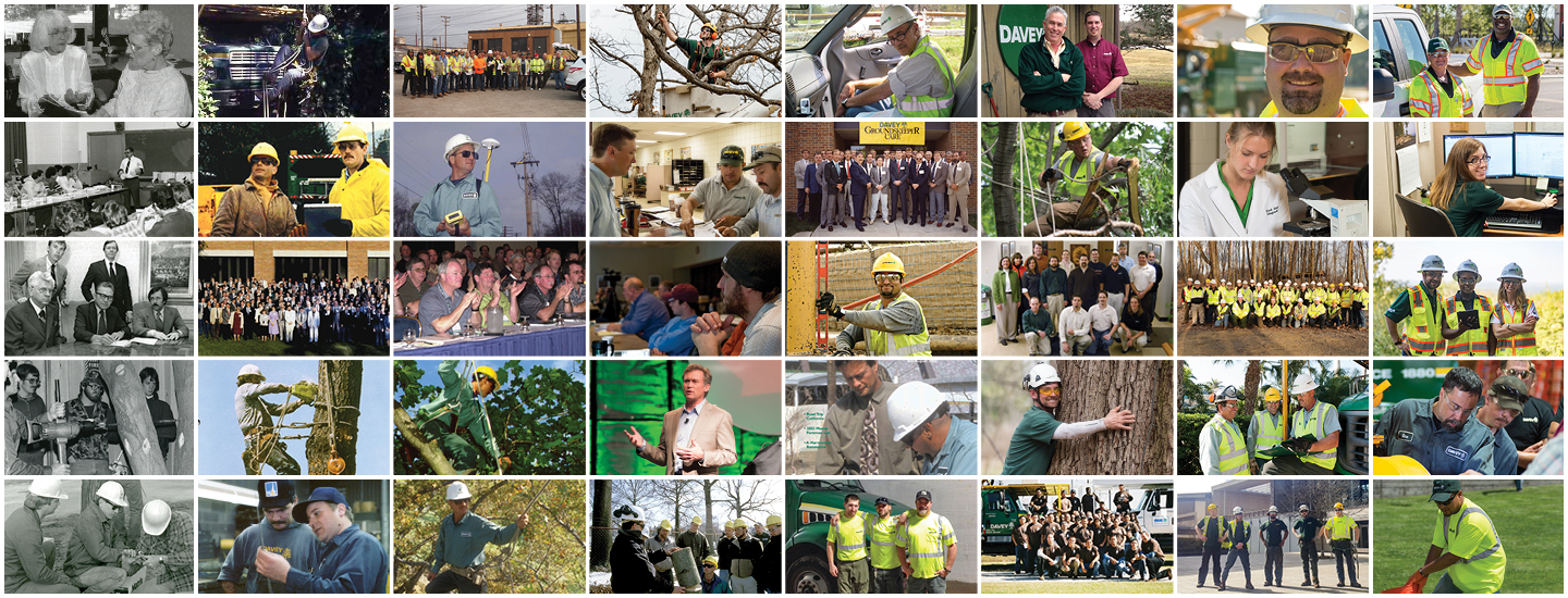 Employee Ownership Davey Tree