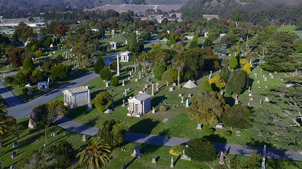 Commercial Case Study Cypress Sideimage4 608X341