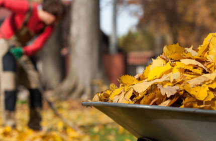Winterizing Garden Raking Fall Leaves
