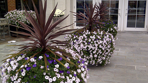 Commercial Blog How To Improve Your Business Curb Appeal With Landscape Enhancements Sideimage5 608X341