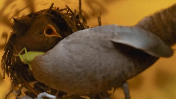 Tc Energy Sideimage 608X341