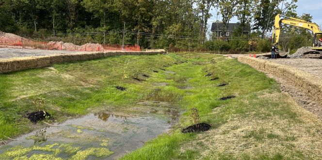 Stream & Wetland Permits & Delineation | Davey Resource Group | Davey Tree