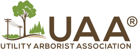 UAA Logo Color Horizontal