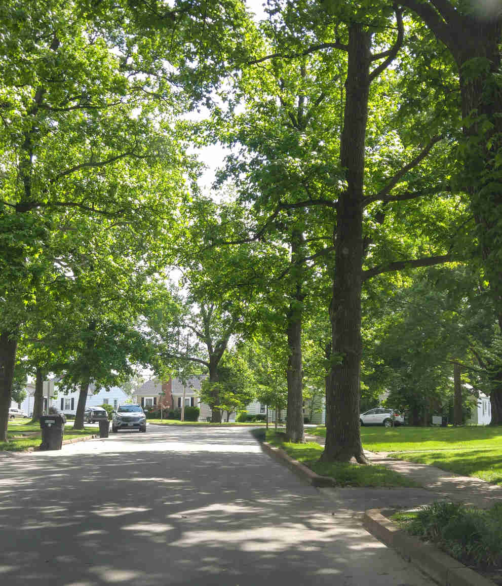 Tree Inventory Software for Urban Forestry | TreeKeeper® | Davey Tree