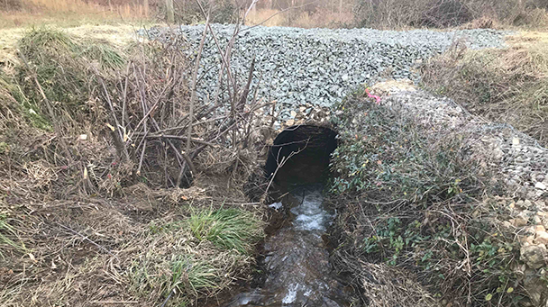 Utility Css Northeast Us Utility Baltimore Gas Electric Sideimage7 608X341