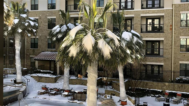 Commercial Blog Winter Landscape Side Image 608X341