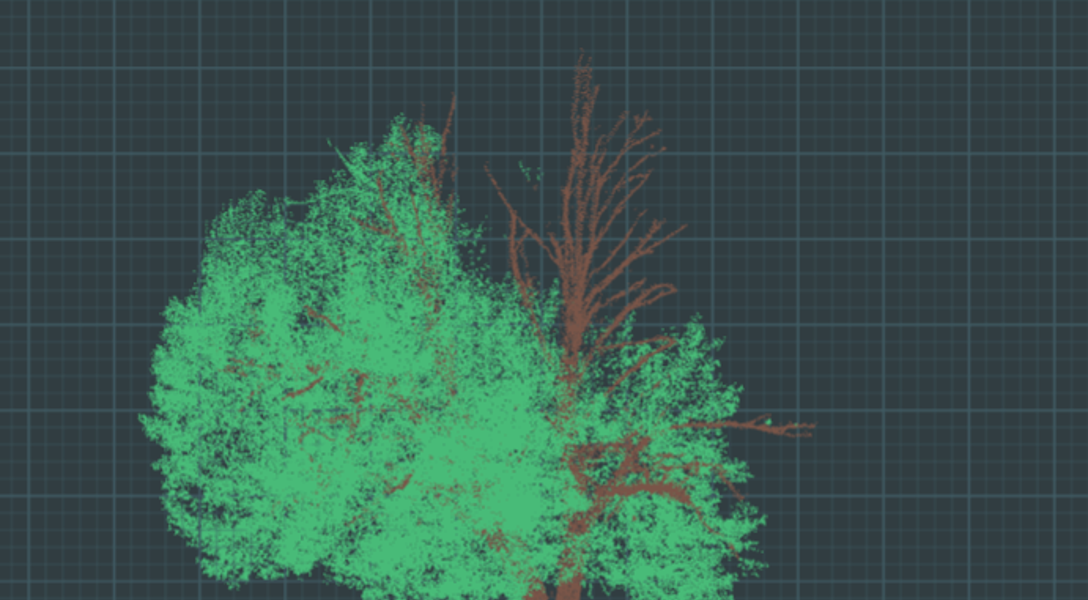 Pittsburgh Tree Inventory (1)