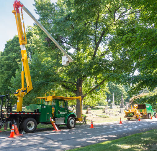 Tree Pruning Equipment