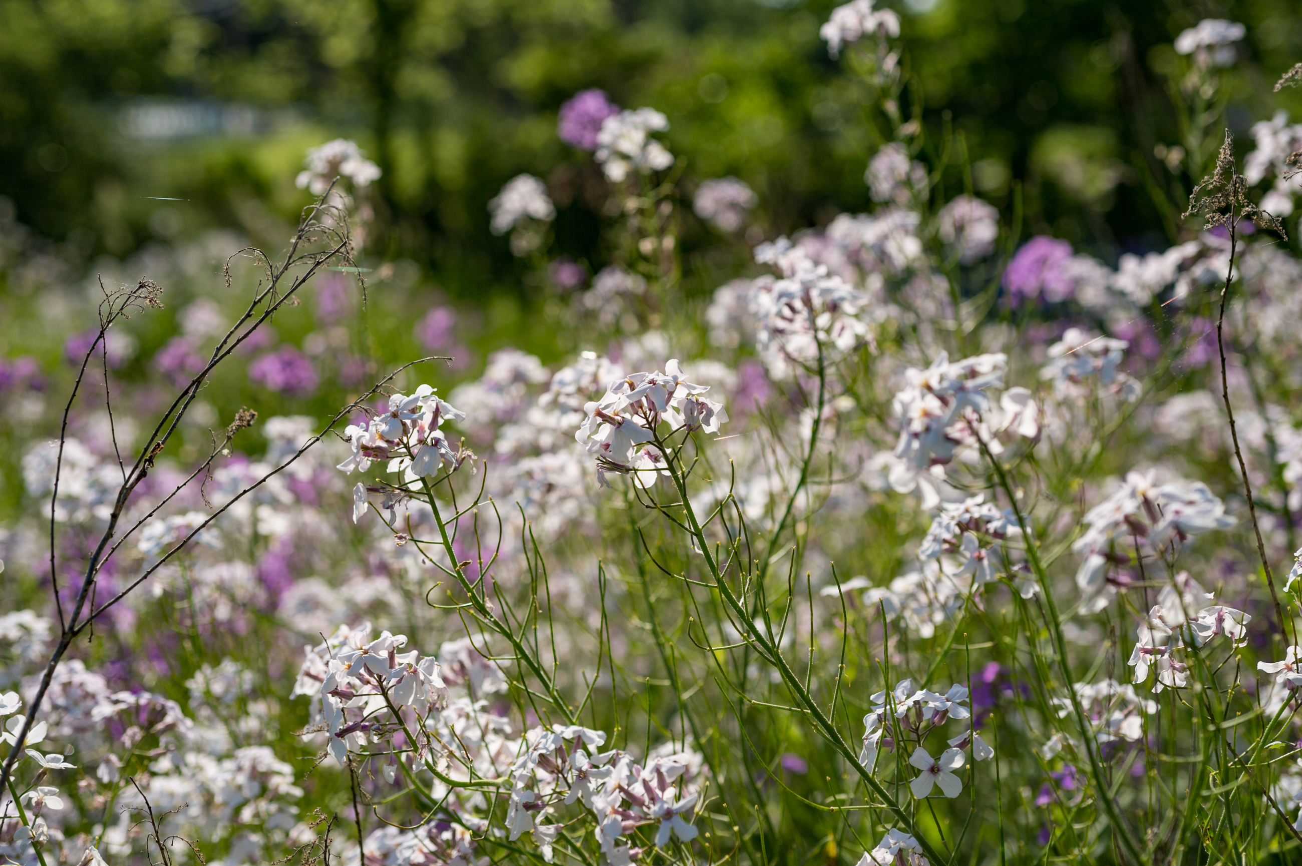 Corp Responsibility report background