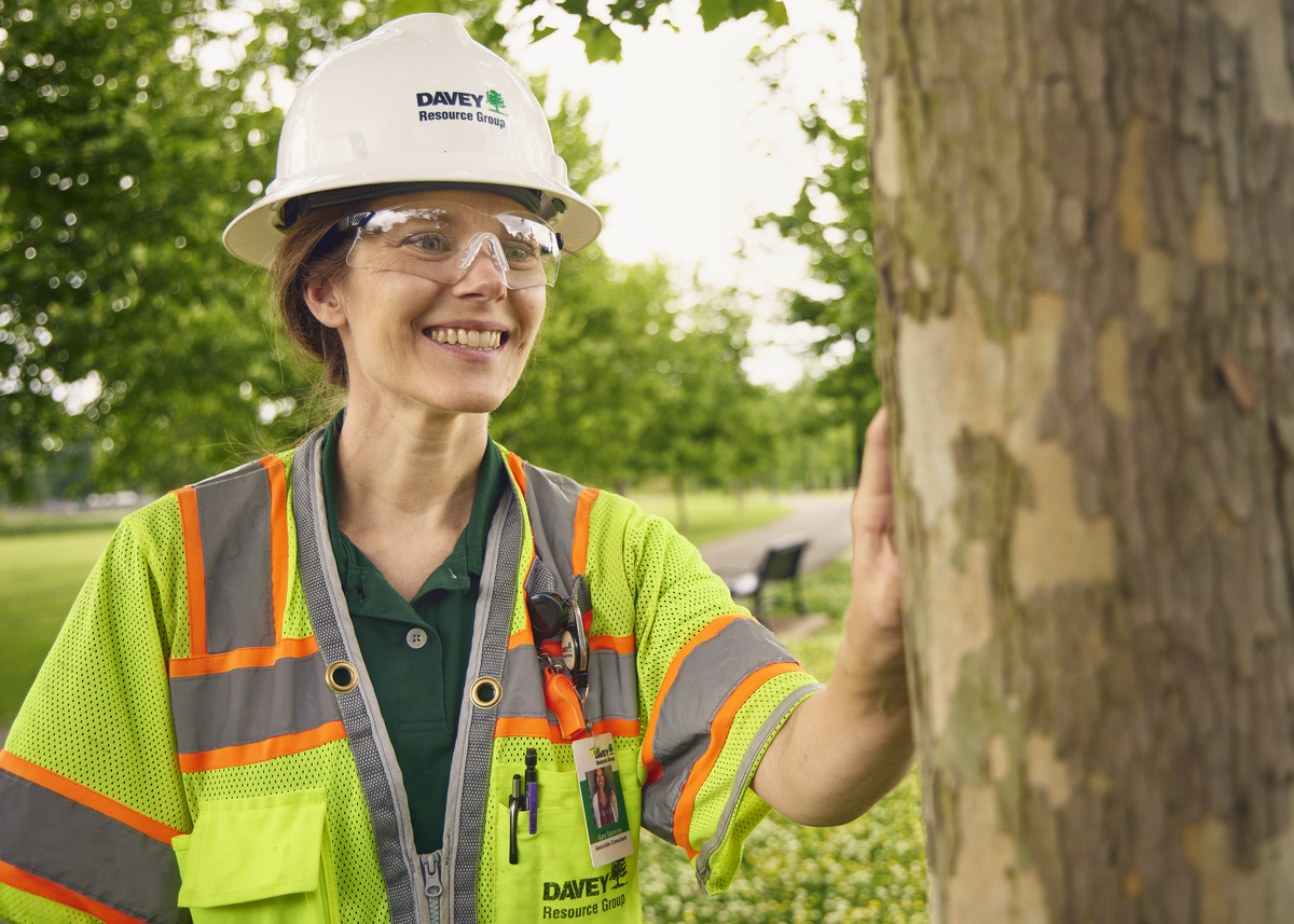 DRG Tree Inspection