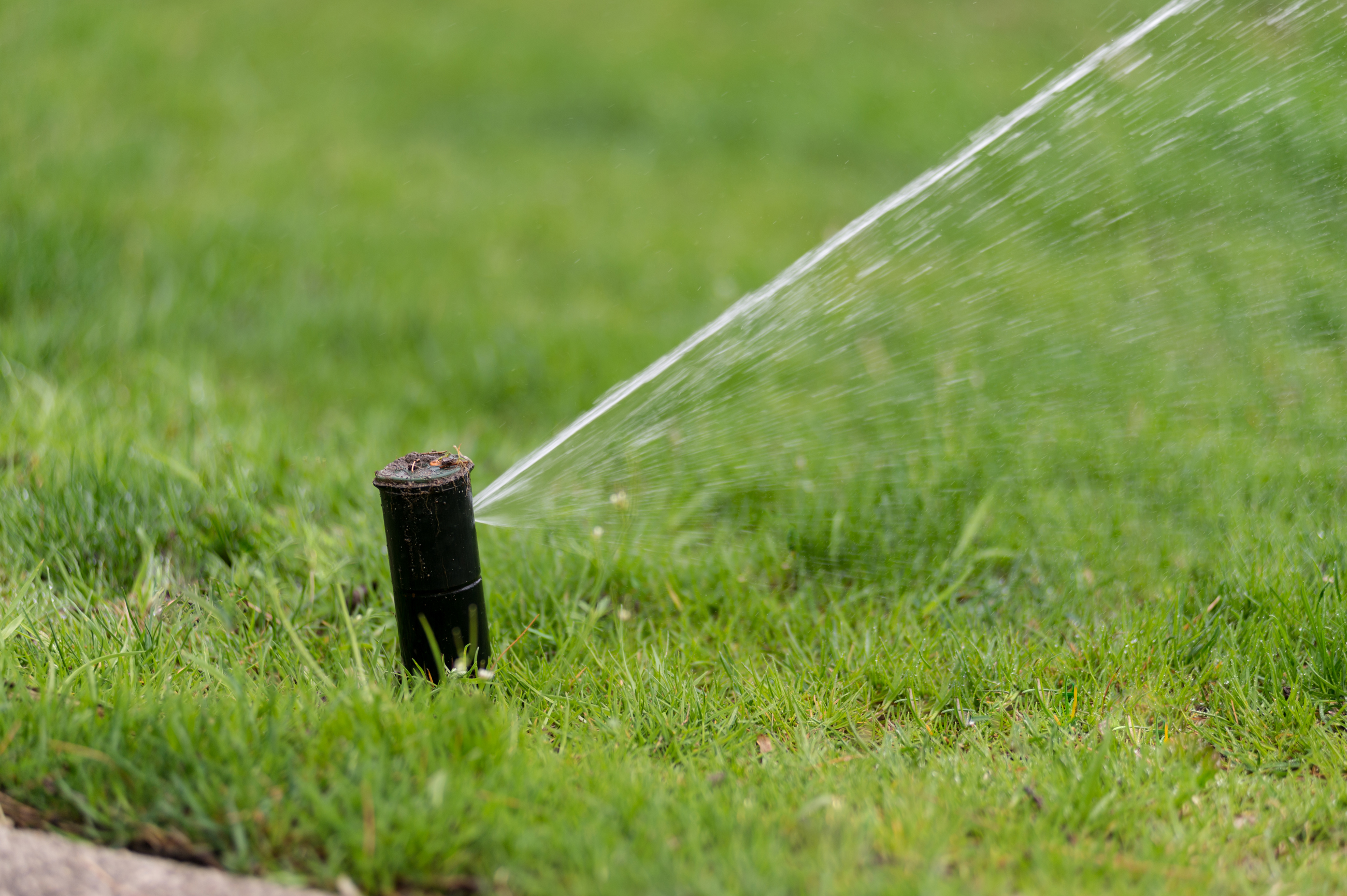 Davey Water Management